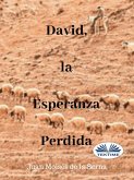 David, La Esperanza Perdida (eBook, ePUB)