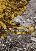 Memórias de Brumadinho (eBook, ePUB)