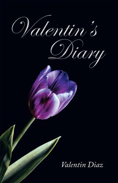 Valentin's Diary (eBook, ePUB) - Diaz, Valentin