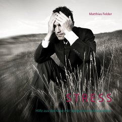 Stress (eBook, ePUB) - Felder, Matthias
