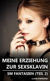 Meine Erziehung zur Sexsklavin – SM Fantasien (Teil 2) (eBook, ePUB)