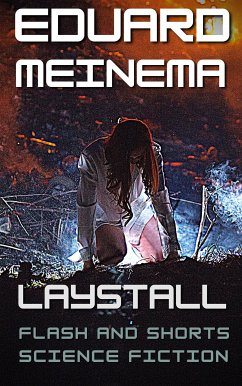 Laystall (eBook, ePUB) - Meinema, Eduard