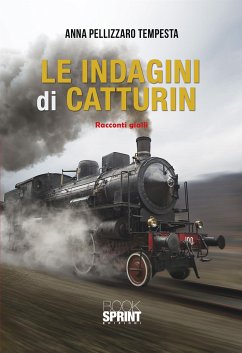 Le indagini di Catturin (eBook, ePUB) - Pellizzaro Tempesta, Anna