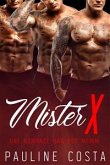 Mister X - Livre 1 (eBook, ePUB)