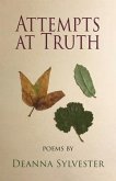 Attempts at Truth (eBook, ePUB)
