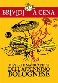 Misteri e manicaretti dell'Appennino bolognese (eBook, ePUB)