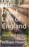 The Rural Life of England (eBook, PDF)