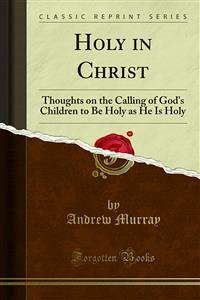 Holy in Christ (eBook, PDF)