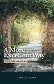 A More Excellent Way (eBook, ePUB)