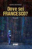 Dove sei Francesco? (eBook, ePUB)