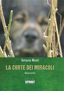 La corte dei miracoli (eBook, ePUB) - Monti, Antonio