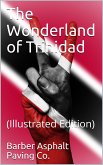 The Wonderland of Trinidad (eBook, PDF)