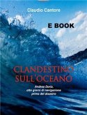 Clandestino nell'Oceano (eBook, ePUB)