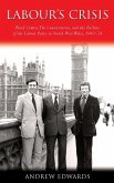 Labour's Crisis (eBook, PDF)