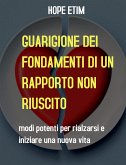 Guarigione Dei Fondamenti Di Un Rapporto Non Riuscito (eBook, ePUB)