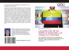 La protección de los DDHH al desarrollo y al trabajo en Colombia