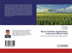 Boron Fertilizer Application: Enhanced Wheat Yield