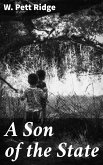 A Son of the State (eBook, ePUB)