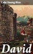 David (eBook, ePUB) - Bild 1