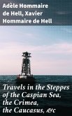 Travels in the Steppes of the Caspian Sea, the Crimea, the Caucasus, &c (eBook, ePUB)