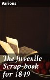 The Juvenile Scrap-book for 1849 (eBook, ePUB)