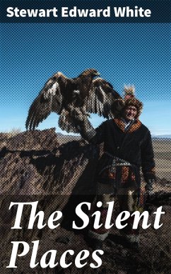 Cover The Silent Places (eBook, ePUB)
