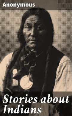 Cover Stories about Indians (eBook, ePUB)