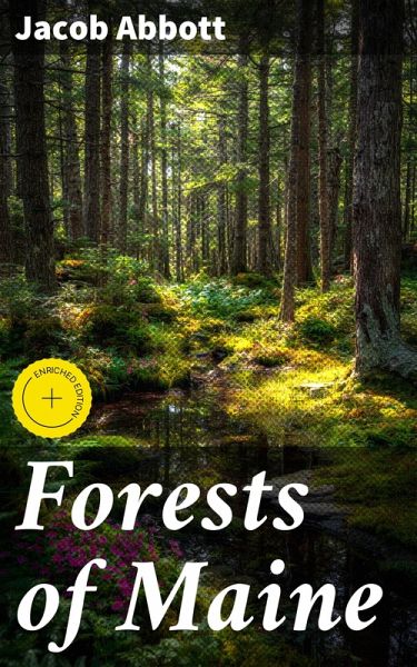 Forests of Maine (eBook, ePUB)