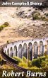 Robert Burns (eBook, ePUB) - Bild 1