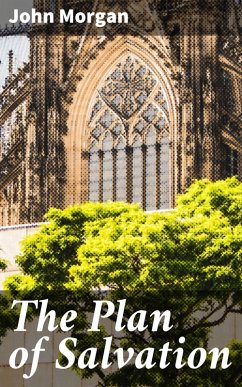 The Plan of Salvation (eBook, ePUB) - Morgan, John