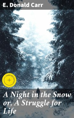Cover A Night in the Snow or, A Struggle for Life (eBook, ePUB)