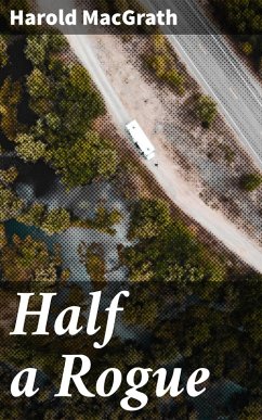 Half a Rogue (eBook, ePUB) - Macgrath, Harold