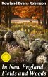 In New England Fields and Woods (eBook,... - Bild 1