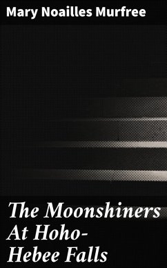 The Moonshiners At Hoho-Hebee Falls (eBook, ePUB) - Murfree, Mary Noailles