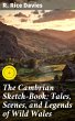 The Cambrian Sketch-Book: Tales,... - Bild 1