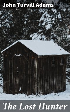 The Lost Hunter (eBook, ePUB) Cover The Lost Hunter (eBook, ePUB)