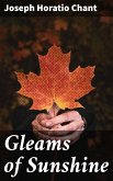 Gleams of Sunshine (eBook, ePUB)