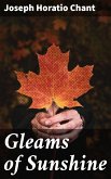 Gleams of Sunshine (eBook, ePUB)