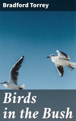 Birds in the Bush (eBook, ePUB) - Torrey, Bradford