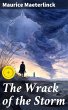 The Wrack of the Storm (eBook, ePUB) - Bild 1