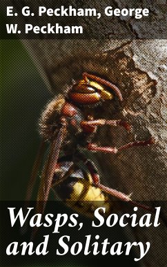 Wasps, Social and Solitary (eBook, ePUB) - Peckham, E. G.; Peckham, George W.