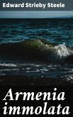 Armenia immolata (eBook, ePUB)