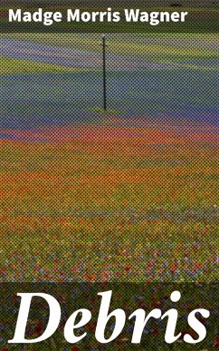 Cover Debris (eBook, ePUB)