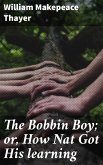 The Bobbin Boy; or, How Nat Got His learning (eBook, ePUB)