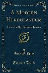 A Modern Herculaneum (eBook, PDF)