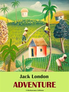 Cover Adventure (eBook, ePUB)
