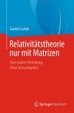 Relativitätstheorie nur mit Matrizen (eBook, PDF)
