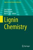 Lignin Chemistry (eBook, PDF)
