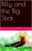 Billy and the Big Stick (eBook, PDF)