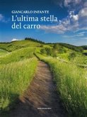 L'ultima stella del carro (eBook, ePUB)